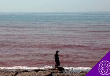 The Red Sea Phenomenon in Iran: Why Heavy Rains Turned Coastal Waters Crimson