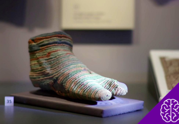 From Tutankhamun to Trendy Socks: The Curious History of Socks