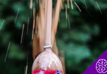 Why Shaken Soda Bottles Explode (It's Not What You Think)