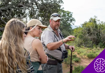 Beyond the Safari: 20 Surprising Facts About South Africa