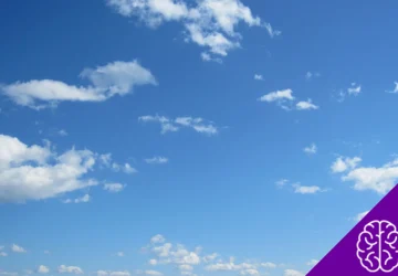 Why Is Blue the World's Favorite Color? The Science Explained